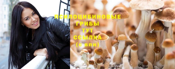 прущие крисы Алексин