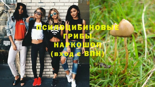 MDMA Premium VHQ Алзамай