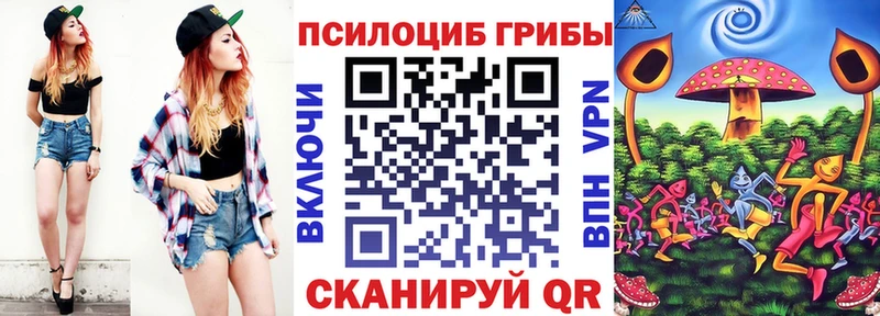 Галлюциногенные грибы Psilocybine cubensis  Козловка 